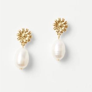 Ann Taylor- NWT Pearlized Flower Charm Drop
Earrings
